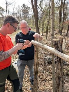 Stützpfähle für das gerade Anwachsen des Baumes werden angebracht
