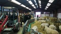 Besuch des Bio-Bauernhofs "Grantoftegaard"