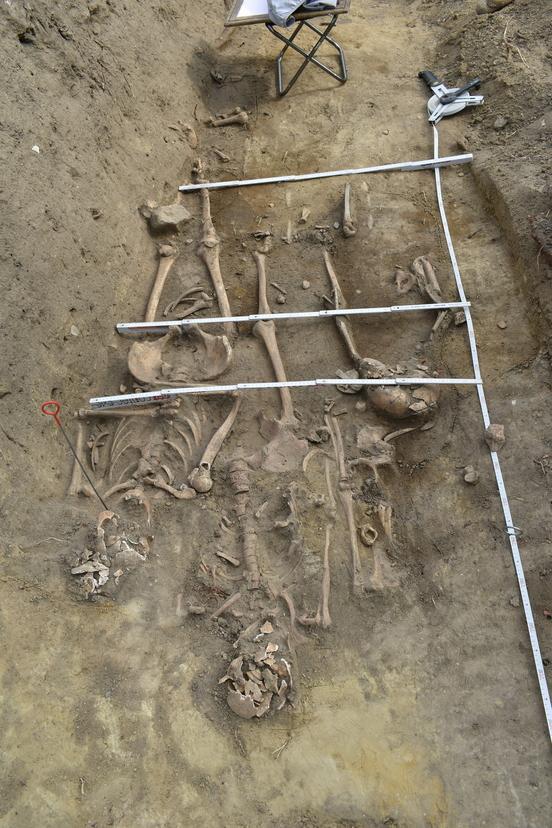 3 ausgegrabene Skelette