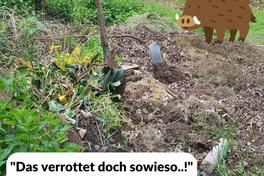 Gartenabfälle gehören nicht in die Natur