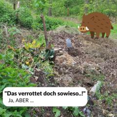 Gartenabfälle gehören nicht in die Natur
