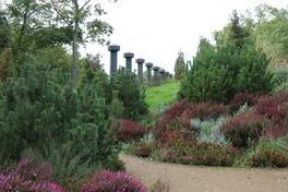 „Die grüne 9“ – Ein digitaler, mehrsprachiger Parkspaziergang durch die Stadt Brandenburg an der Havel