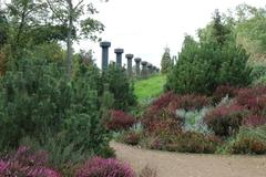 Eines der Fundstücke ist das begrabene Herz. Welche Geschichte sich wohl dahinter verbirgt?