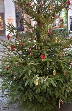Mit Zapfen geschmückter Weihnachtsbaum
