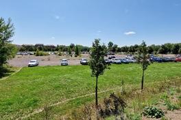 So wie am Wiesenweg sieht es derzeit nicht überall im Stadtgebiet aus.