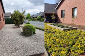 Vorher-Nachher-Bild wie ein Vorgarten aussehen könnte.