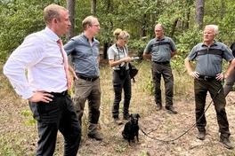Mitarbeiter vom Landeskompetenzzentrum Wald sichten Eichenbestand im Brandenburger Stadtforst