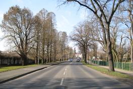 Zum Planungsstand der Baumaßnahme „Rad-/Gehweg Grillendamm (Nordseite) in Brandenburg an der Havel“ wird informiert