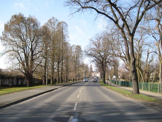 Zum Planungsstand der Baumaßnahme „Rad-/Gehweg Grillendamm (Nordseite) in Brandenburg an der Havel“ wird informiert