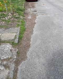 verschmutzter Fahrbahnrand