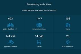 Screenshot von der Ergebnistabelle von STADTRADELN – Gesamtergebniswerte wie im Pressetext erwähnt