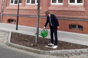 Bürgermeister Müller gießt einen Baum