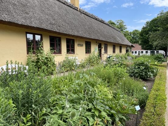 Blick auf Haus mit Reeddach und grünem Vorgarten
