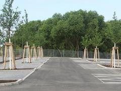 P+R Parkplatz am Hauptbahnhof zur Nutzung freigegeben