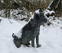 Auch die Waldmöpse sind vom Winter umgeben.