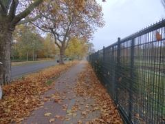 Laub auf einem Gehweg