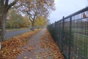 Laub auf einem Gehweg