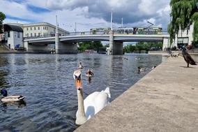 Wasser