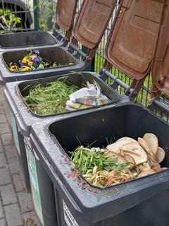Biotonnen zur Schau aufgereiht.