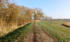 Deich Gollwitz – Götz Foto: Dr. Kathleen Garz