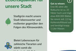 Stadtgrün steigert die Lebensqualität, stärkt die Artenvielfalt und macht die Stadt widerstandsfähiger gegen den Klimawandel.