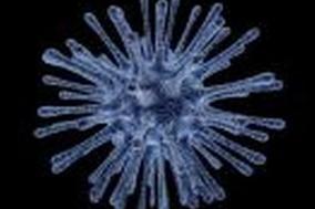 Symbolbild: Coronavirus