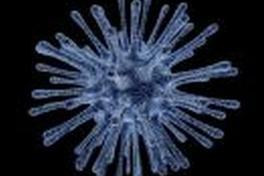 Symbolbild: Coronavirus