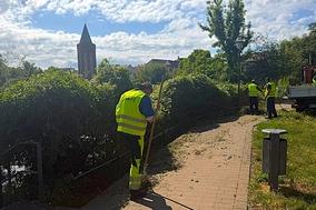 Grünflächenpflege am Uferpark Hammerstraße.