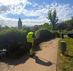 Grünflächenpflege am Uferpark Hammerstraße.