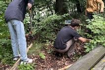 Die Schülerinnen und Schüler bei der Arbeit