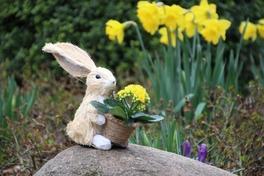 Tolles Osterferienprogramm in den Freizeiteinrichtungen