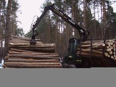 Abladen vom Forwarder