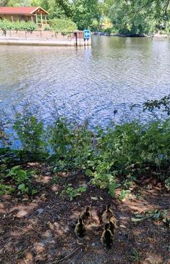 ... ging es zum Wasser.