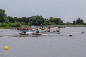 Vier Ruderboote auf dem Wasser.