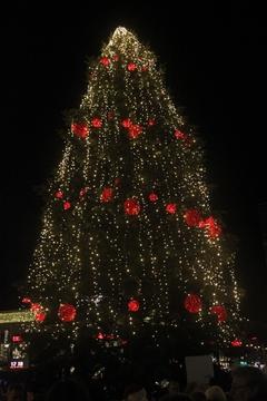 Die Weihnachtstanne mit neuer Beleuchtung