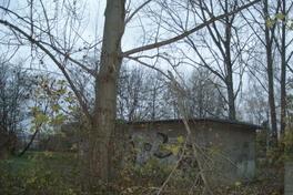 Baumschutz/Baumfällantrag