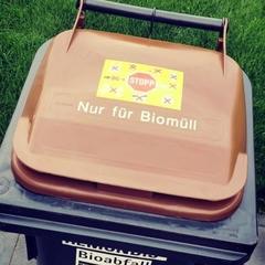 Der Deckel einer Biotonne mit einem Gelben Aufkleber, auf dem abgebildet ist, was nicht auf die Biotonne gehört. 