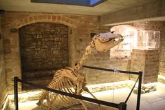 Gotisches Haus ist "Denkmal des Monats" Februar 2018