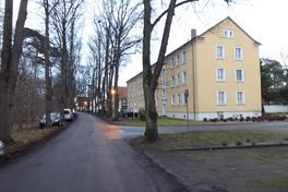 Haltverbote zum Schutz der Baumalleen