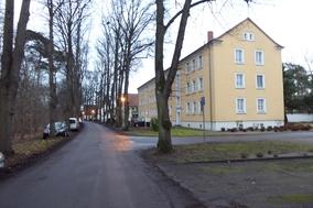 Haltverbote zum Schutz der Baumalleen
