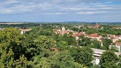 Blick vom Marienberg aufs Stadtgrün.