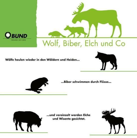 Grafik mit der Silhouette eines Biebers, Wolfs, Elch und Büffels 