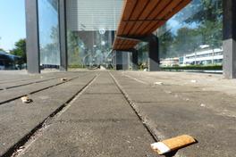 "Bleib sauber, meine Havelstadt -  Projekt Kippenstummel“