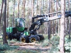 Harvester in der Holzernte