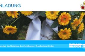 Gedenkveranstaltungen zum 71. Jahrestag der Befreiung