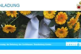 Gedenkveranstaltungen zum 71. Jahrestag der Befreiung