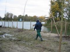 Stabile Pflanzhilfen und ein Wildschutzzaun sollen das Anwachsen erleichtern.