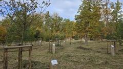 Grünfläche mit Bäumen