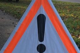 Baumschnitt und Fällarbeiten entlang der Ziesarer Landstraße im sog. „Zeilenwald“