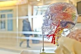 Nervenheilkunde / Psychiatrie